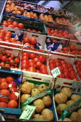 Cetin Ticaret :: Obst & Gemüse